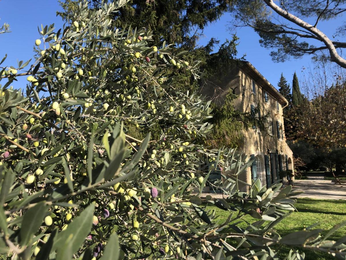 Desir De Provence Bed & Breakfast Sarrians Luaran gambar